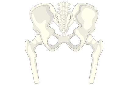 image 48.png image 48.png
